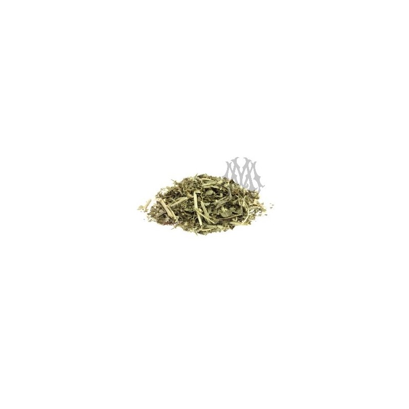 130-10-04-38-passifloraincarnata.jpg