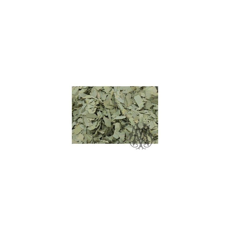 74-14-05-12-EUCALIPTOFOGLIE.jpg