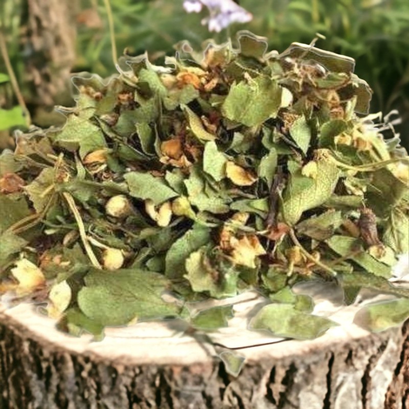 WhatsApp Image 2023-06-27 at 17.04.00.jpeg