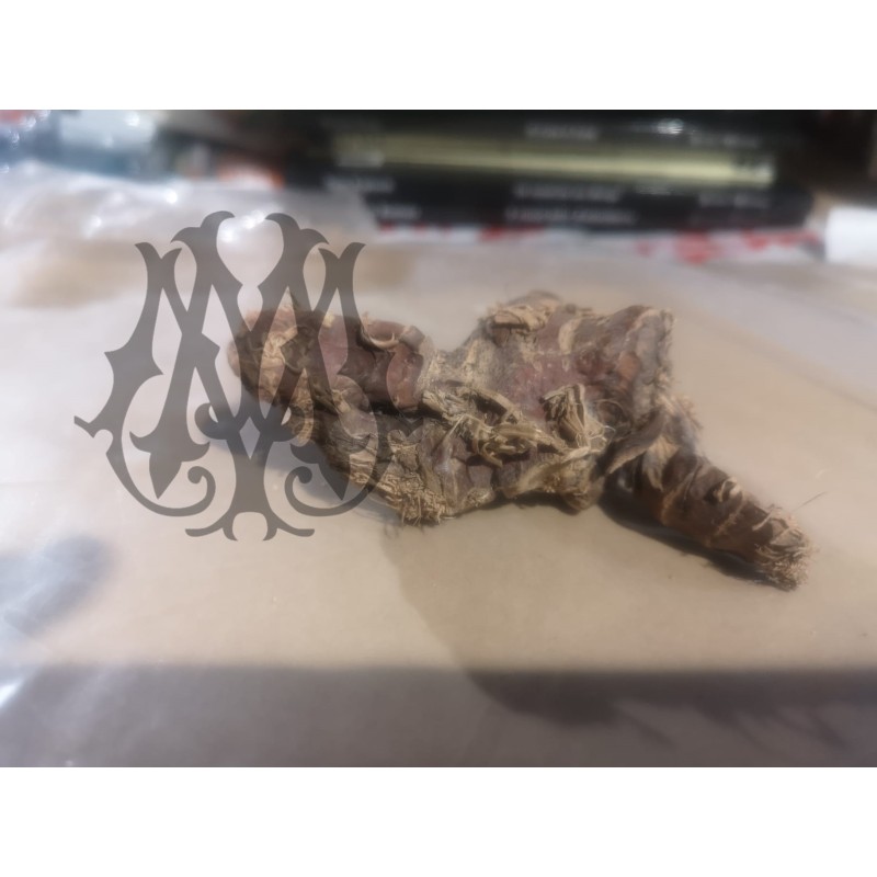ad955ef1-8c5b-4b87-b2ce-5b786a717da9.jpg